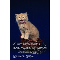 У кого есть кошка, тот может не бояться