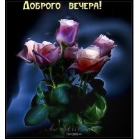 Доброго вечера!