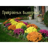 Прекрасных выходных!