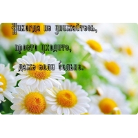 Никогда не унижайтесь