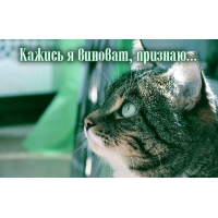 Кажись я виноват, признаю..