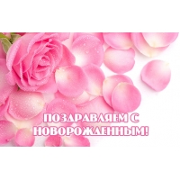 Поздравляем с новорожденным!