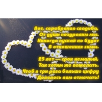 Вот, серебряная свадьба