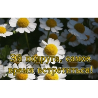 Эй подруга, самое время встретиться!