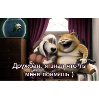 Дружбан, я знал что ты меня поймёшь