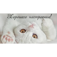 Хорошего настроения!