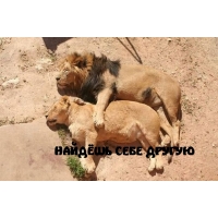 НАЙДЁШЬ СЕБЕ ДРУГУЮ
