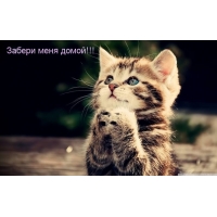 Забери меня домой!!!