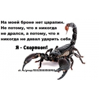 Я — скорпион