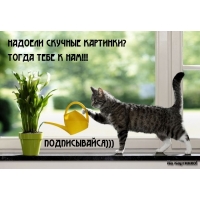 надоели скучные картинки?