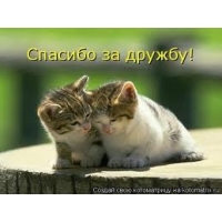 спасибо за дружбу