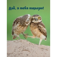 Дай, я тебя пацалую!