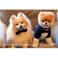 С Днем рождения, сеструха!