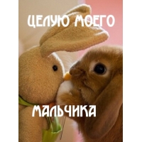 Целую моего мальчика
