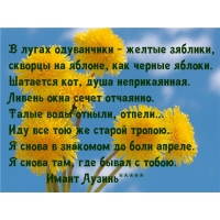Иду там, где с тобою был
