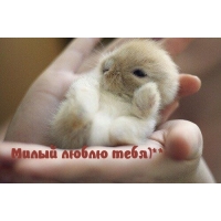 Милый, люблю тебя…