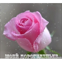 МОЕЙ ДОРОГУЛЕНЬКЕ…