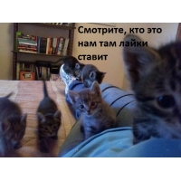 Посмотрим на лайки нам