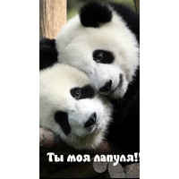 Ты моя лапуля!!!