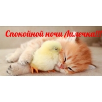 Спокойной ночи Лилечка!