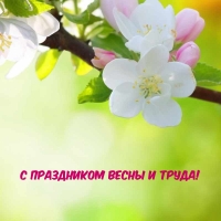 С праздником Весны и Труда!