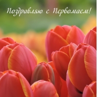 Поздравляю с Первомаем!
