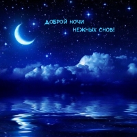 Доброй ночи! нежных снов!
