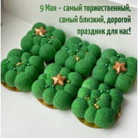 9 мая — самый торжественный праздник для нас!