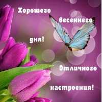 Хорошего весеннего дня! Отличного настроения!