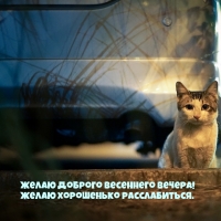 Желаю доброго весеннего вечера! Желаю хорошенько расслабиться.