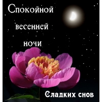Сладких снов Спокойной весенней ночи