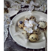 Отличных снов тебе и доброй ночи!