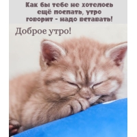 Как бы тебе не хотелось ещё поспать, утро говорит — надо вставать!