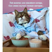 Пей молочко для спокойного вечера