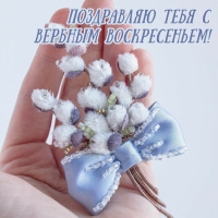 Поздравляю тебя с Вербным воскресеньем!