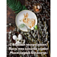 С Вербным воскресением!