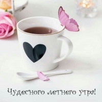 Чудесного летнего утра!