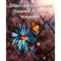 Доброго дня тебе желаю! Поздравок от сердца отправляю!