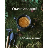 Удачного дня! Ты помню меня…