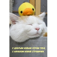 С добрым новым утром тебя, с началом новой странички.
