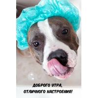 Доброго утра, отличного настроения!