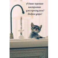 А ваше хорошее настроение уже проснулось? Доброе утро!
