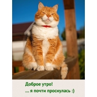 Доброе утро! … я почти проснулась :)