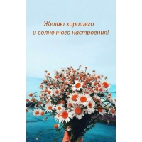 Желаю хорошего и солнечного настроения!