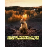 Желаю тебе отличного настроения
