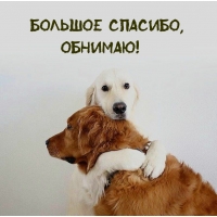 Большое спасибо, обнимаю!