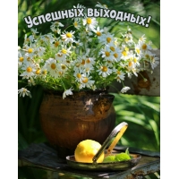 Успешных выходных!