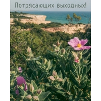 Потрясающих выходных!