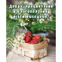 Добра, процветания и благополучия в эти выходные!