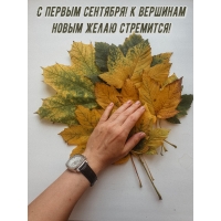 С первым сентября! К вершинам новым желаю стремится!